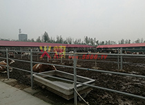 �B(y��ng)ţ��(ch��ng)