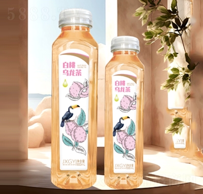 ���l(xi��ng)���@���Ҟ������ζ���Ʒ500ml