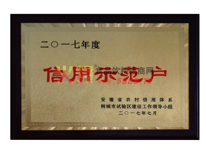 ����ʾ����