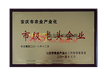 �м����^��I(y��)