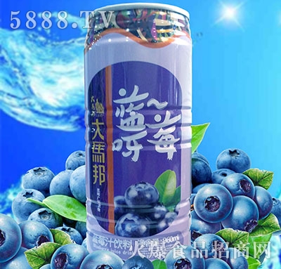 ���R���{ݮ֭960ml