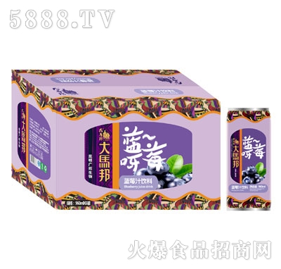 ���R���{(l��n)ݮ֭���960mlx6ƿ