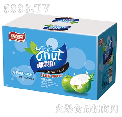膳鑫園椰果粒果味飲料600mlx15瓶