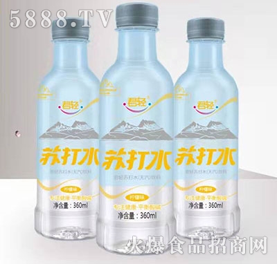 ���p�K��ˮ����ζ360ml