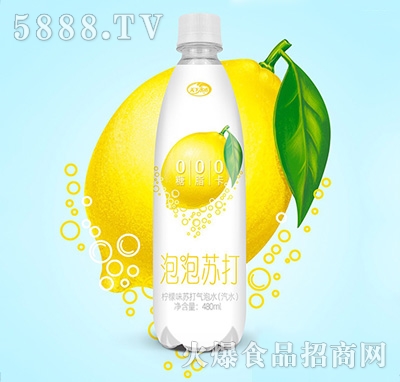 ����ˮ�������K����ζ�K�����ˮ480ml