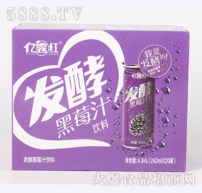 �|¶�t�l(f��)�ͺ�ݮ֭���4.84L��242ml��20�ޣ�