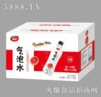 鮮綻卡曼橘味蘇打氣泡水480mlX15