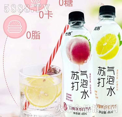 �����K�����ˮ480ml