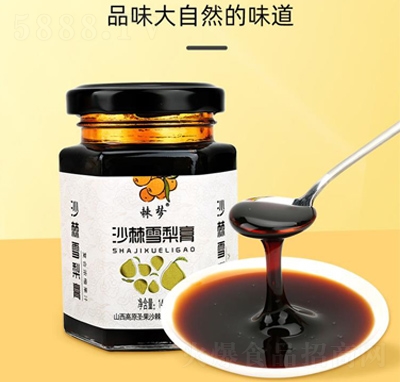 ����ɳ��ѩ���