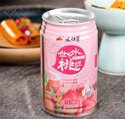 �P�w���������Դ����֭���310ml