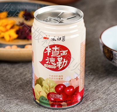 �P�w���������ɽ�֭���310ml