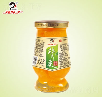 �����ӽ�Ƭˬ���ٹ��^ˮ�����^248g