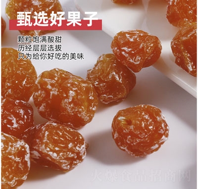 ����L����÷����÷�������T��ʳ