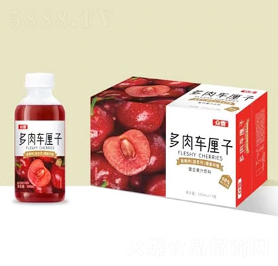 眾雪多肉車?yán)遄又瓘?fù)合果汁飲料500mlX15