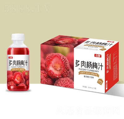 眾雪多肉楊梅汁復(fù)合果汁飲料500mlX15