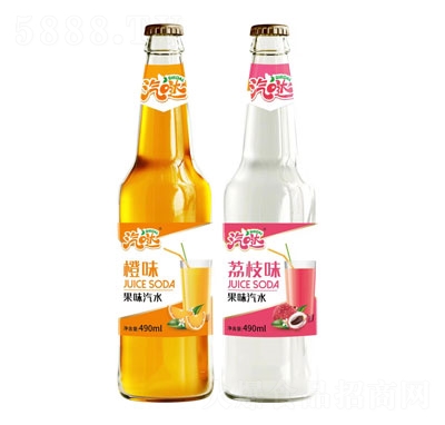 ���}��ζ��ˮ490ml