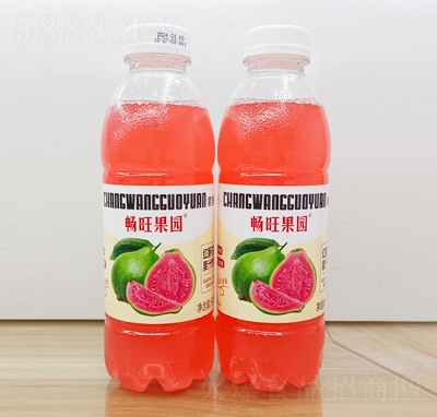 �������@�t��ʯ��֭��֭���600ml