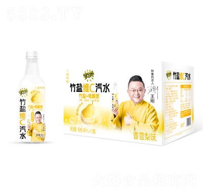 ��С�����}�SC��ˮ��ѩ��ζ495mlX15ƿ