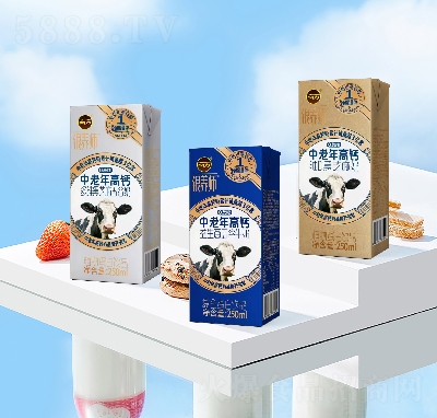 �y�B(y��ng)����������}���ţ��