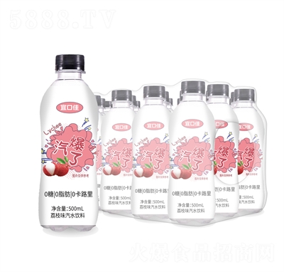 �˿ڼ���֦ζ��ˮ���500mL