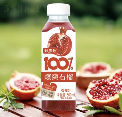 �����100%��ˬʯ���֭500ml