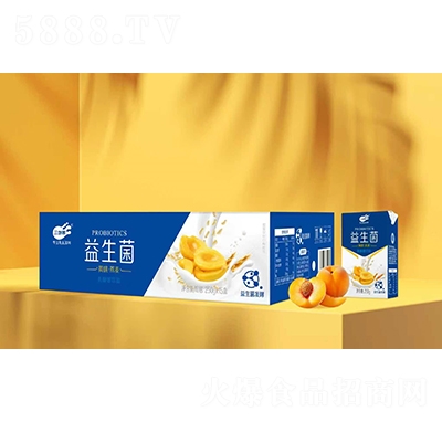 ��С�r�������S�������������b