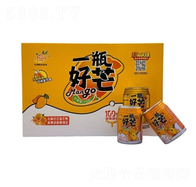 ����ԭʼ����һƿ��ââ��֭������b240ml