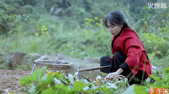 ����ʳƷ��˾����������ʽ�M(j��n)��ʳƷȦ��