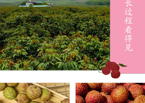 ��������֦ˬ�Ʒ_05