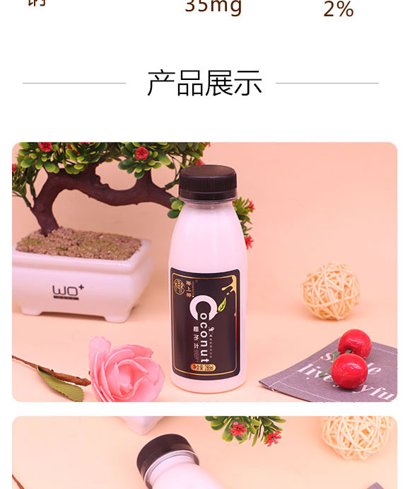 ̩����ʩ��ʳƷ���޹�˾-Ҭ��֭_04