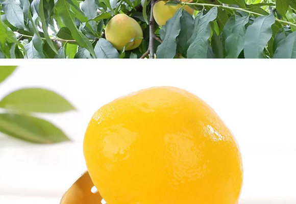 ɽ高�(sh��)���S�ҹ��^_05