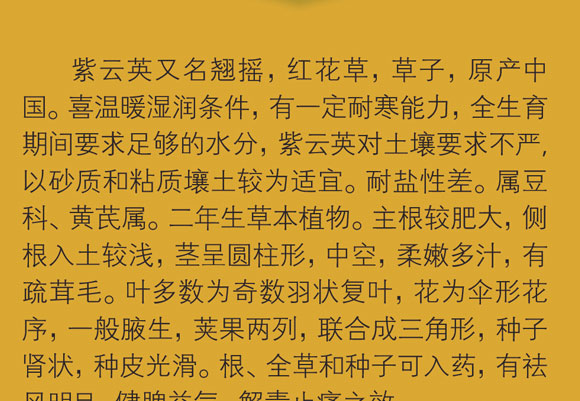 �f(w��n)��������Ӣ����