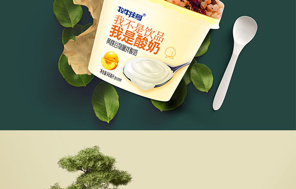 ��ţ�f�@�S�ҹ����������