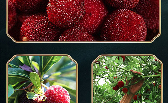 �g�ɱ���÷����֭���