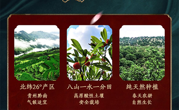 �g�ɱ���÷����֭���