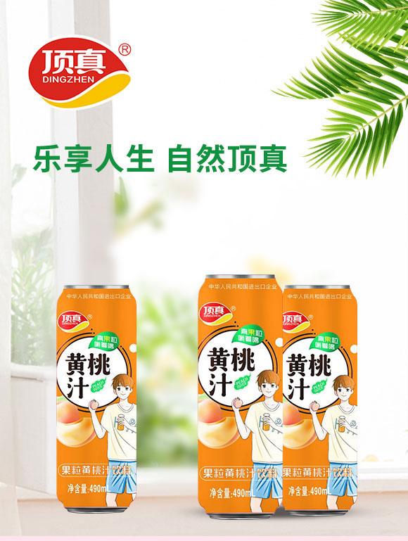 鄭州頂真食品有限公司-果粒果汁2_01 鄭州頂真食品有限公司-果粒果汁2_01