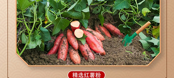 ��������ϠZ��