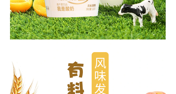 ������ţ�f�@���B(t��i)�r(n��ng)�I(y��)�_�l(f��)���޹�˾--�a(ch��n)Ʒ�����S��_07