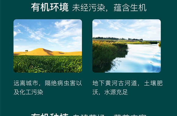 ���ɹ���ţʥ���߿���Ʒ���޹�˾-��ţ��_05