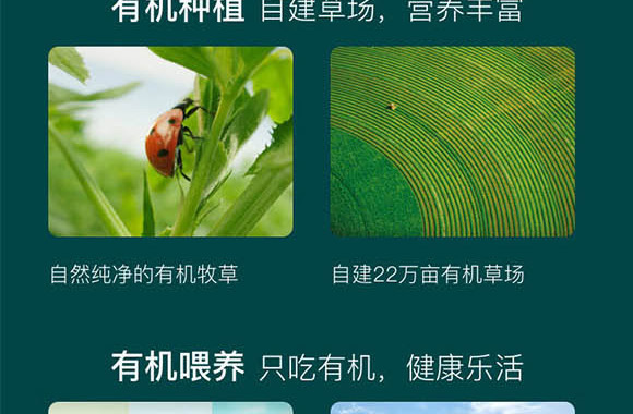 ���ɹ���ţʥ���߿���Ʒ���޹�˾-��ţ��_06