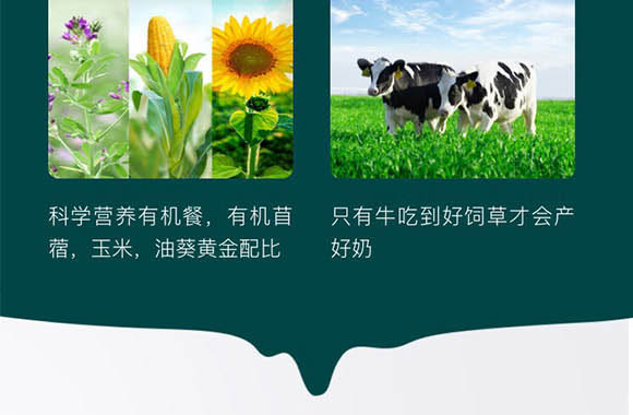 ���ɹ���ţʥ���߿���Ʒ���޹�˾-��ţ��_07