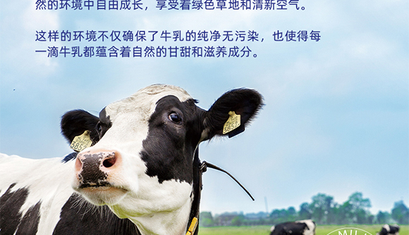 �½�Ľ����I(y��)���޹�˾-08����(c��)����_05