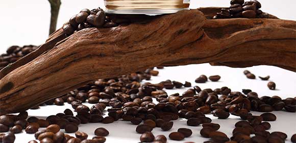 �V��Ľ�pʳƷ�Ƽ����޹�˾���ο���_09