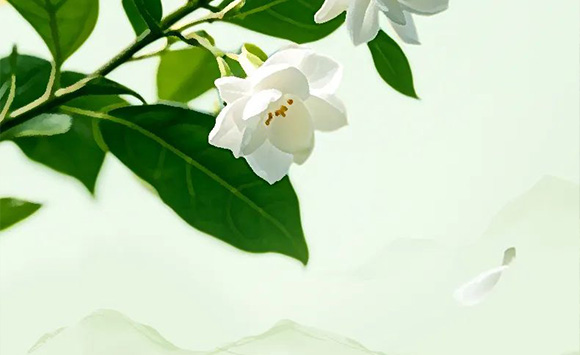 �V��Ľ�pʳƷ�Ƽ����޹�˾--�a(ch��n)Ʒ����(c��)2_06