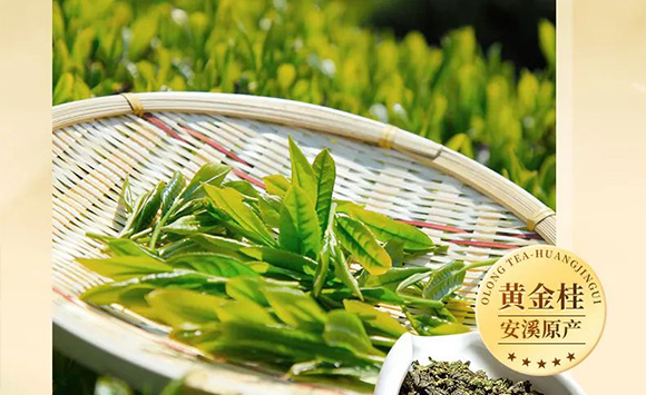 �V��Ľ�pʳƷ�Ƽ����޹�˾--�a(ch��n)Ʒ����3_05